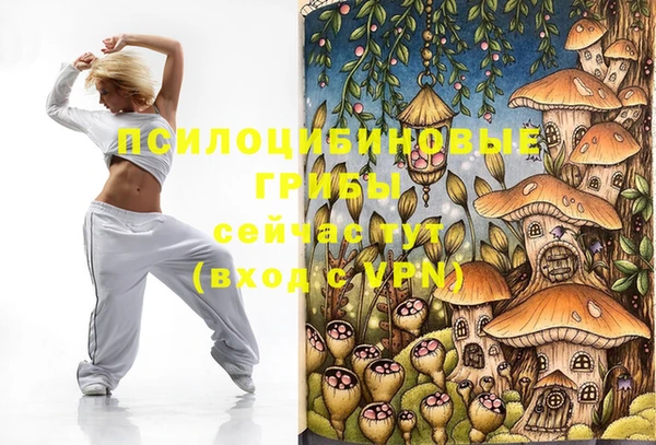 COCAINE Богородицк