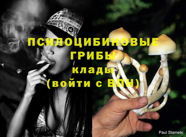 марки nbome Богданович
