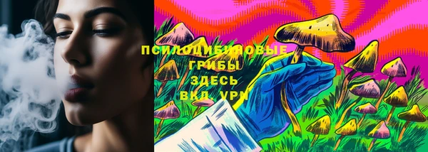 COCAINE Богородицк