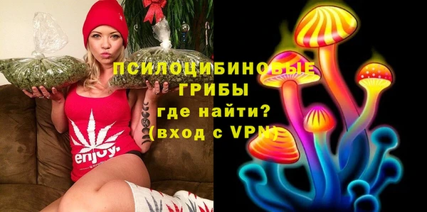 марки nbome Богданович