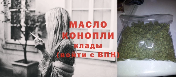 spice Богородск